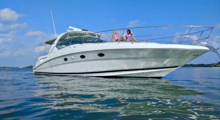 45ft Sundancer 420 (White)